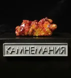 Миниатюра товара
