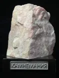 Миниатюра товара