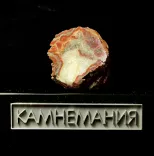 Миниатюра товара