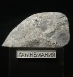 Миниатюра товара