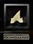 Миниатюра товара