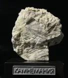 Миниатюра товара