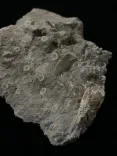 Миниатюра товара