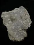 Миниатюра товара