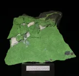 Миниатюра товара