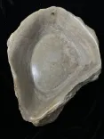 Миниатюра товара
