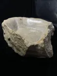 Миниатюра товара